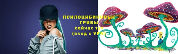 ГАЛЛЮЦИНОГЕННЫЕ ГРИБЫ Алзамай
