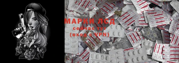 Альфа ПВП Аркадак